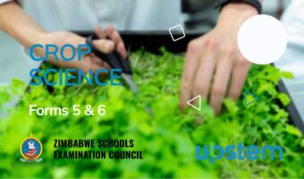 crop science