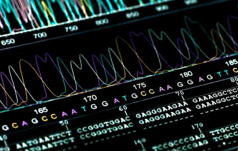 biostatistics-ms